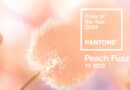 Pantone Unveils Its Color of the Year for 2024: A Velvety Embrace of Peach Fuzz